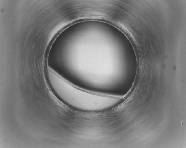 X0000087381085200704200837