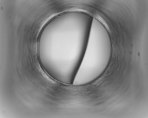 X0000087381092200704200836