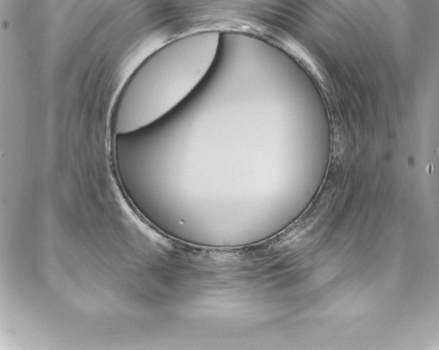 X0000087381095200704200836