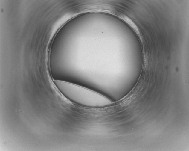 X0000087381096200704200836
