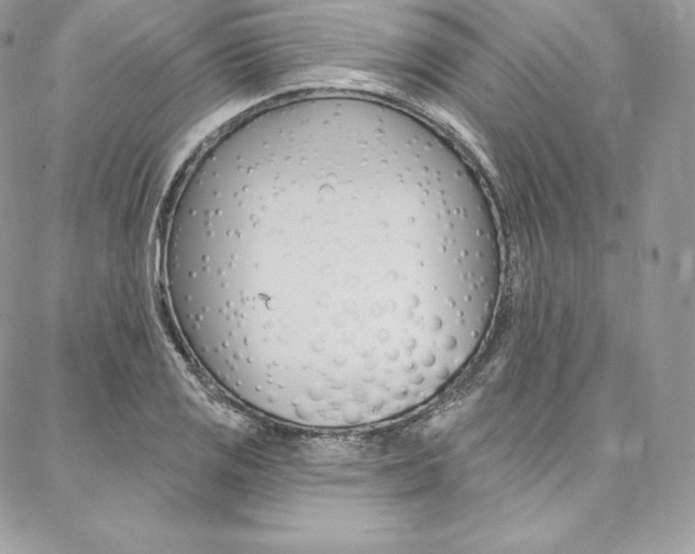 X0000087381125200704200836