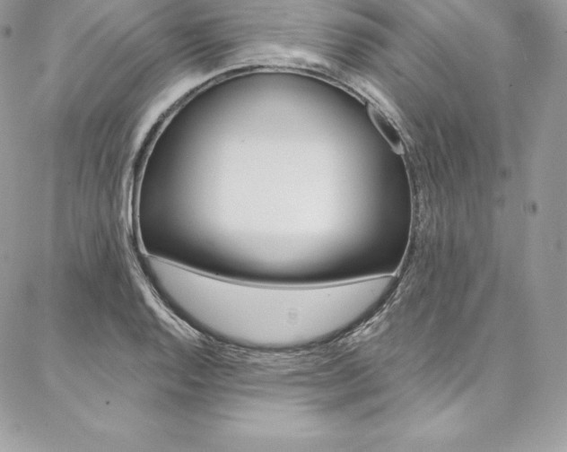 X0000087381128200704200836