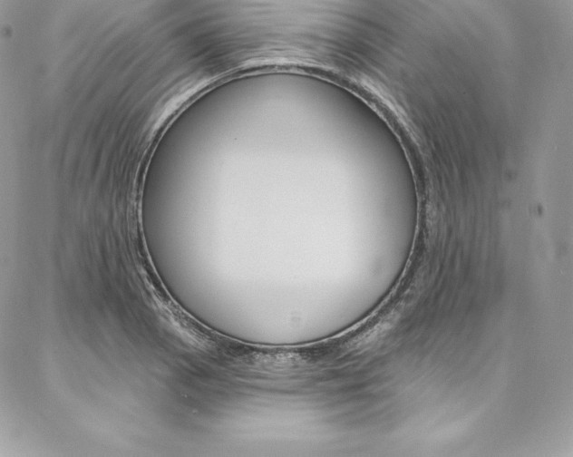 X0000087381129200704200836