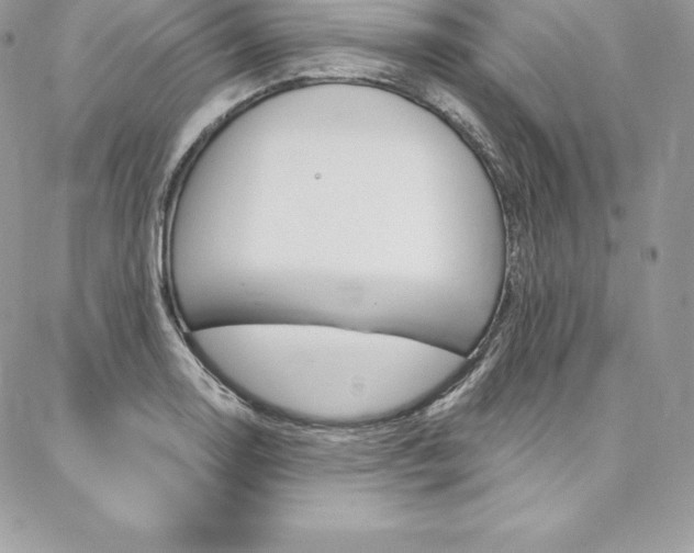 X0000087381130200704200836