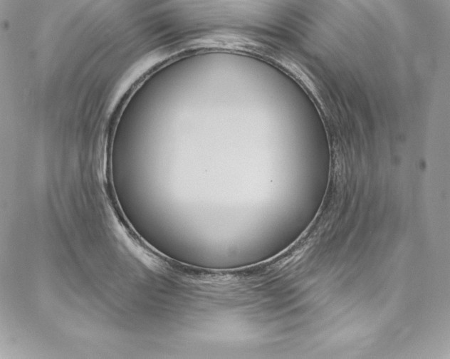 X0000087381131200704200836