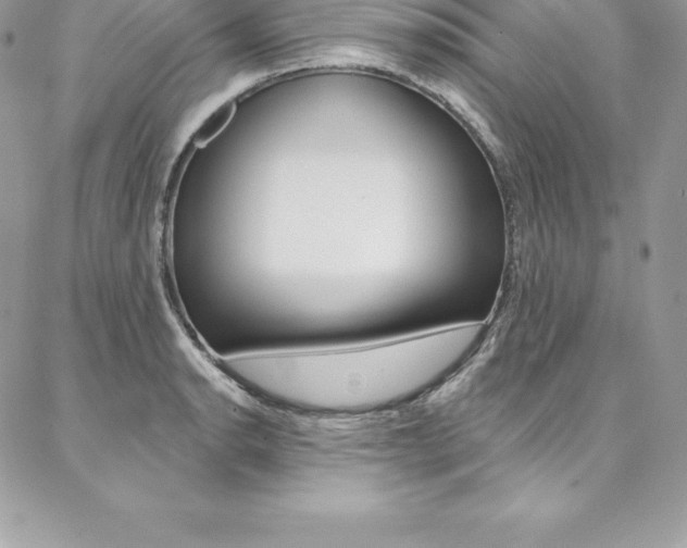 X0000087381134200704200836