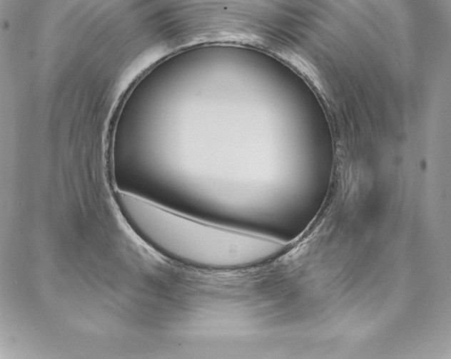 X0000087381135200704200836