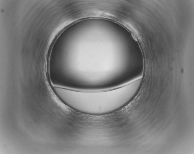 X0000087381136200704200836