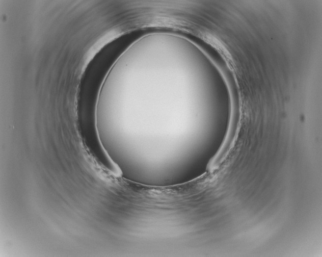 X0000087381138200704200836