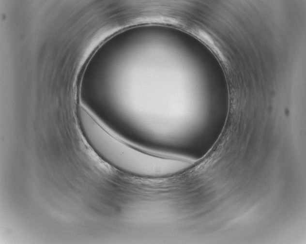 X0000087381140200704200836