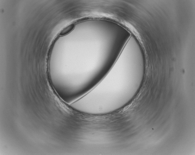 X0000087381183200704200835