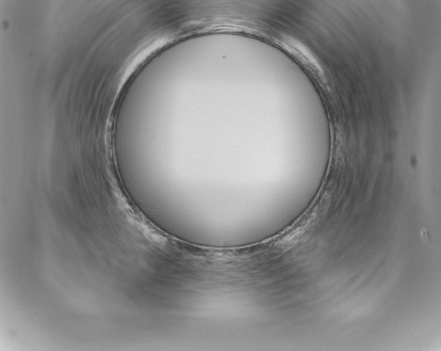 X0000087381190200704200835