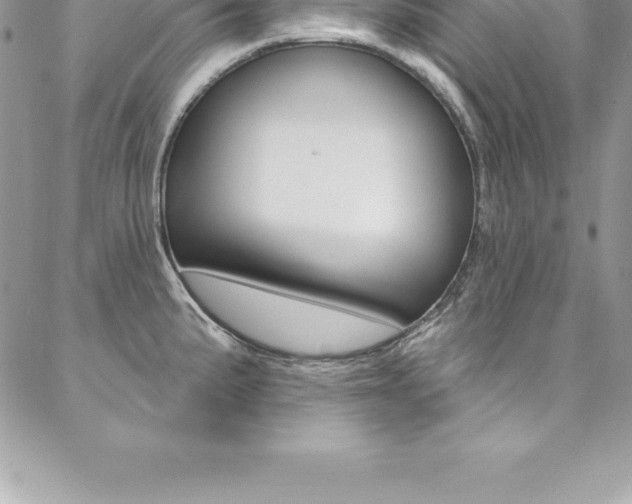 X0000087381191200704200835