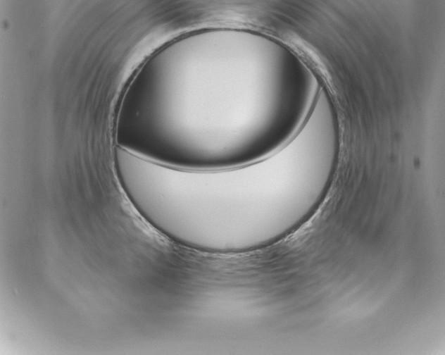 X0000087381192200704200835