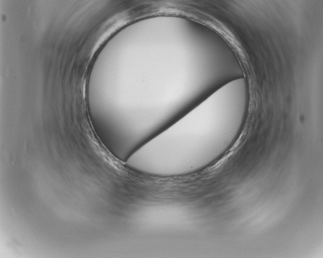 X0000087381198200704200835