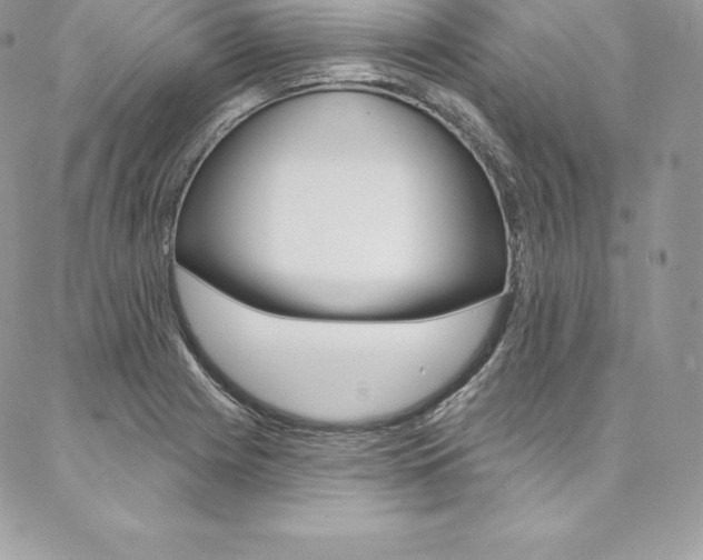 X0000087381225200704200834