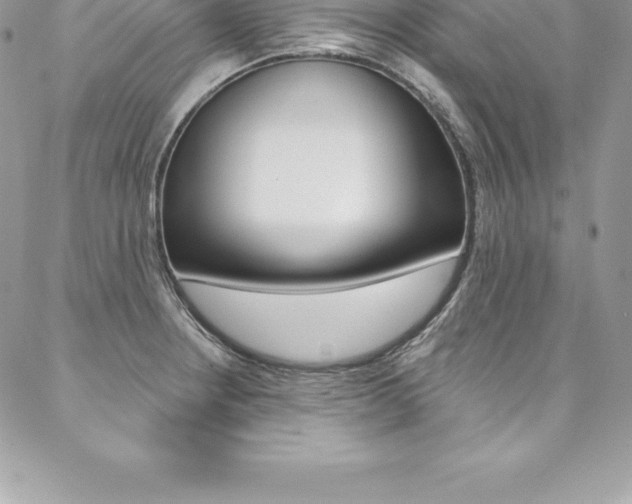 X0000087381234200704200834