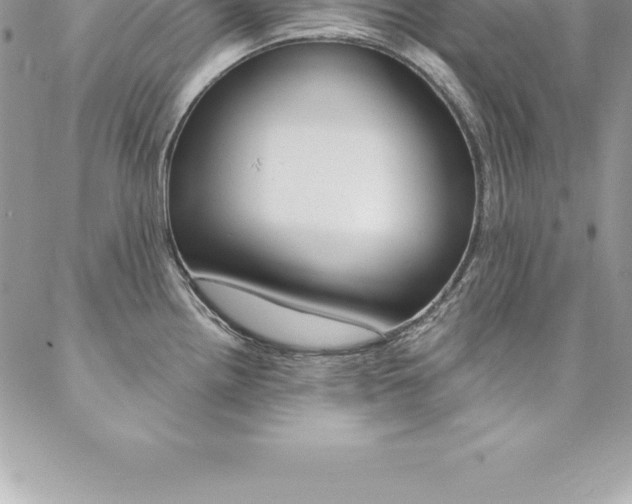 X0000087381242200704200835
