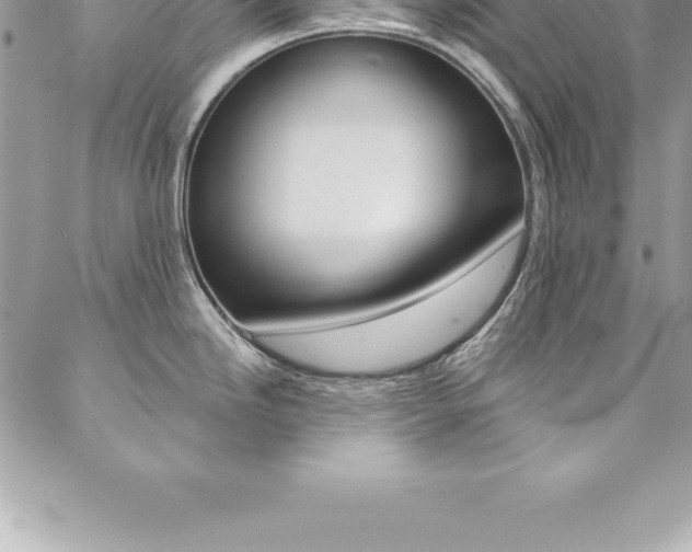 X0000087381246200704200835