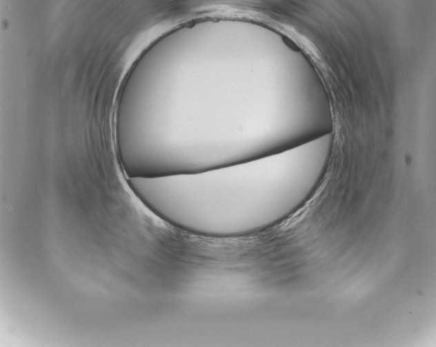 X0000087381247200704200835