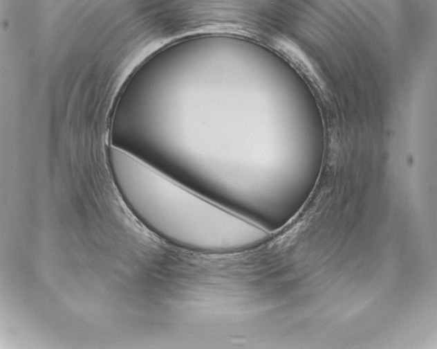 X0000087381284200704200833