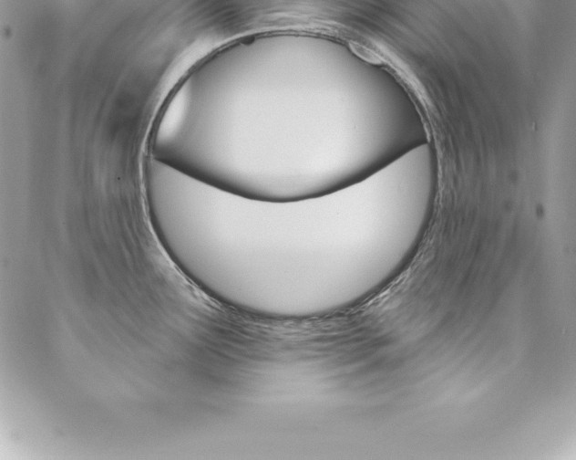 X0000087381291200704200833