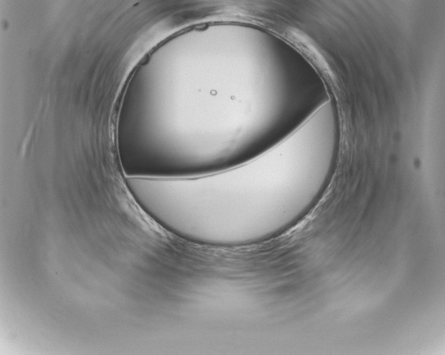 X0000087381292200704200833
