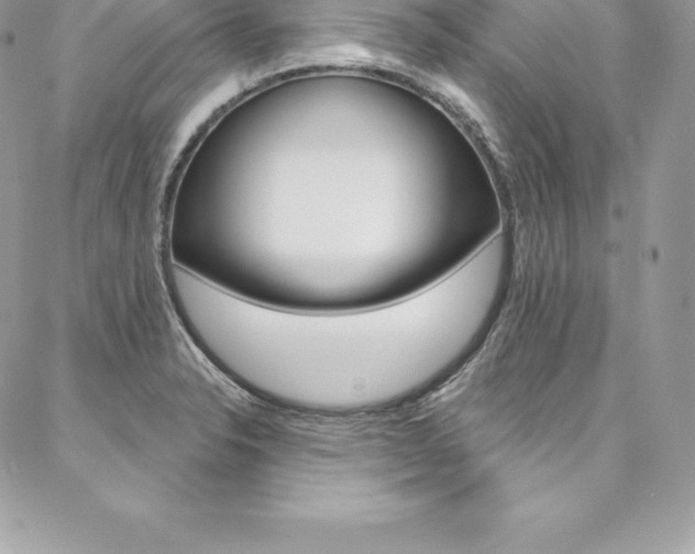 X0000087381326200704200833