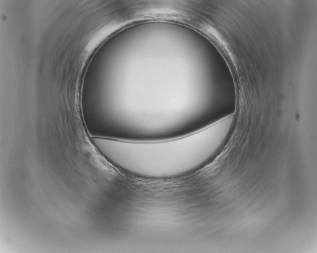 X0000087381336200704200833