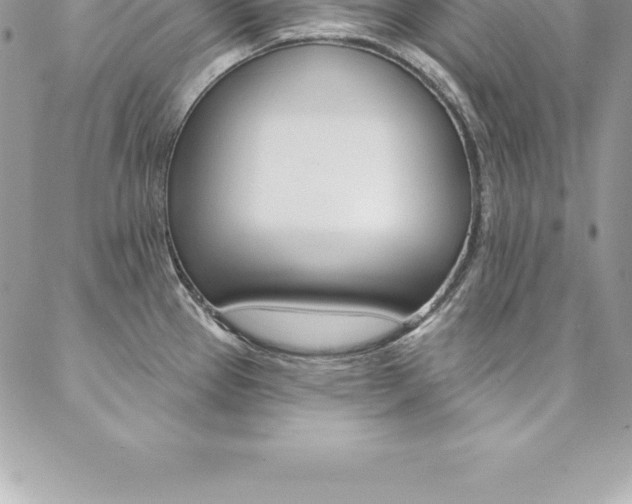 X0000087381337200704200833