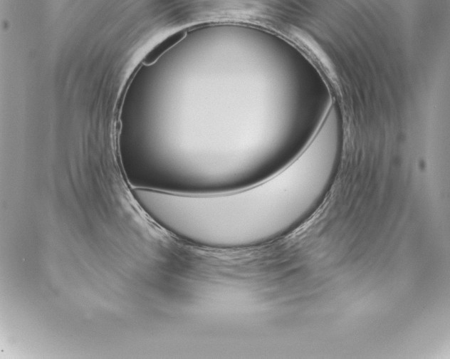 X0000087381340200704200833