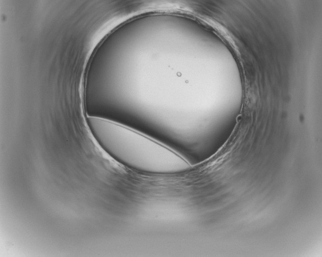 X0000087381343200704200833