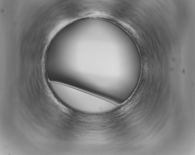 X0000087381375200704200832