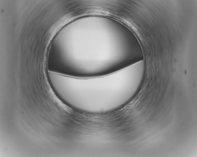 X0000087381379200704200832