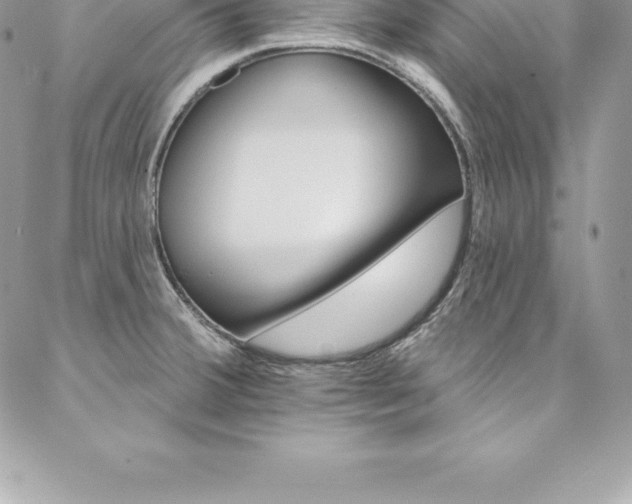 X0000087381380200704200832