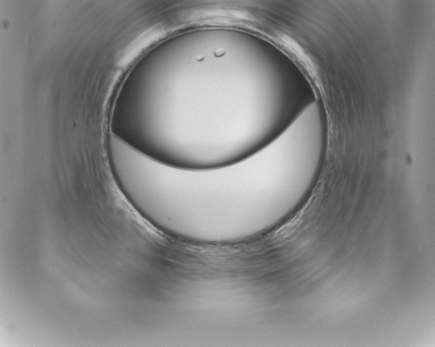 X0000087381384200704200832