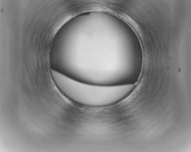 X0000087381385200704200832