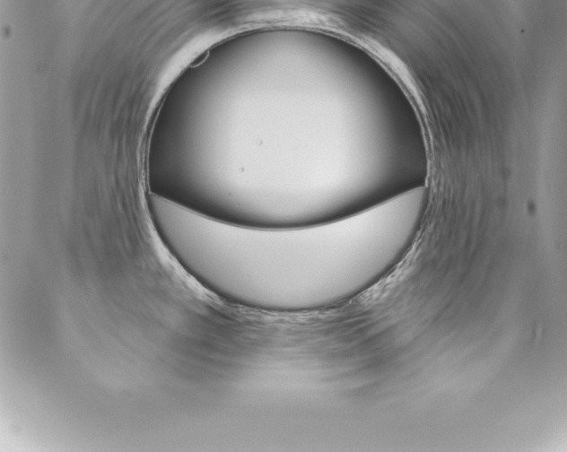 X0000087381389200704200832