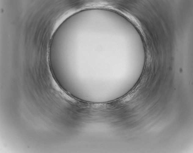 X0000087381390200704200832