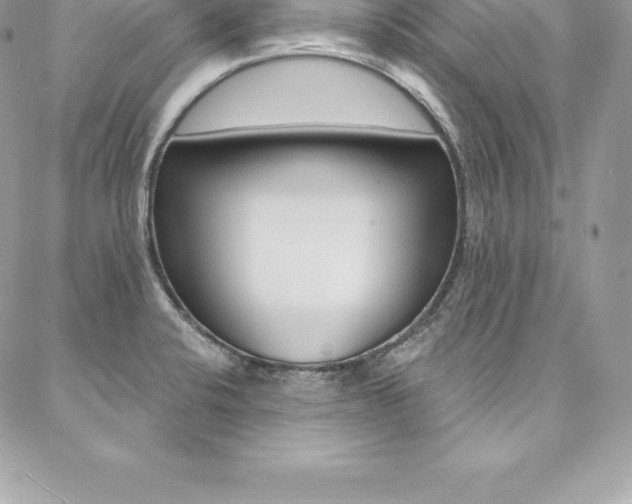 X0000087381424200704200831