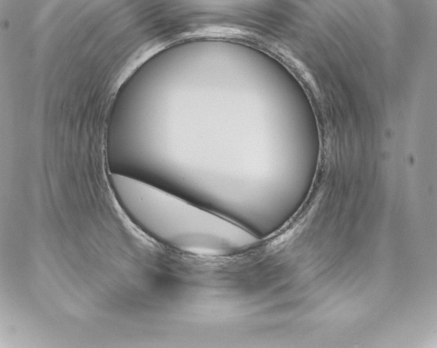 X0000087381425200704200831
