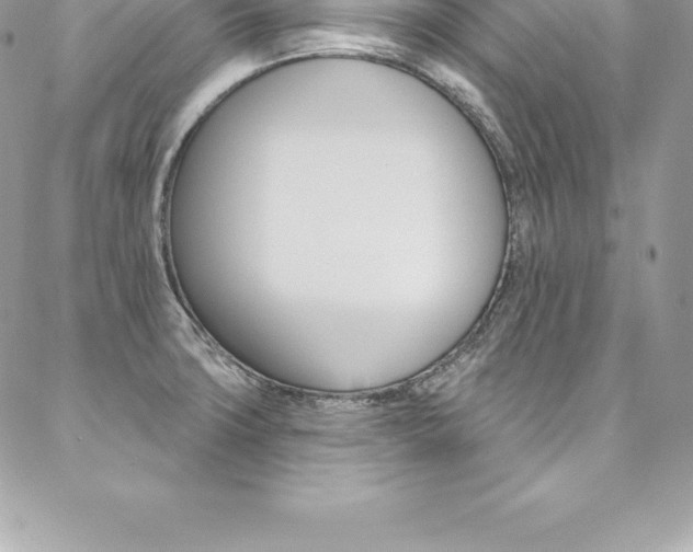X0000087381427200704200831