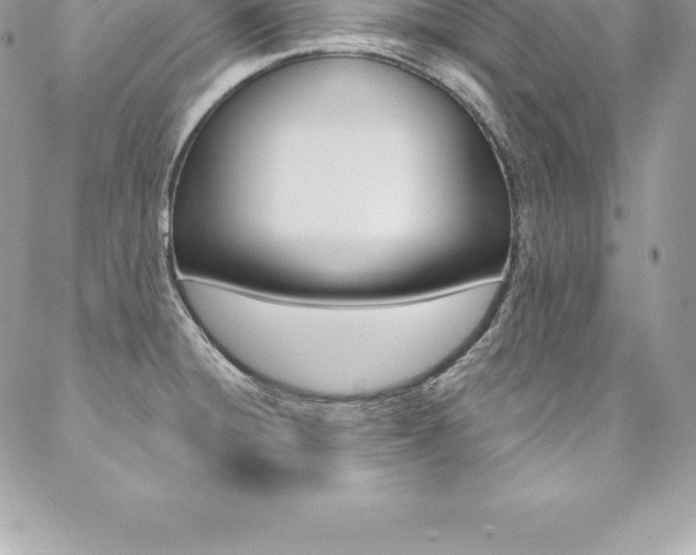 X0000087381428200704200831