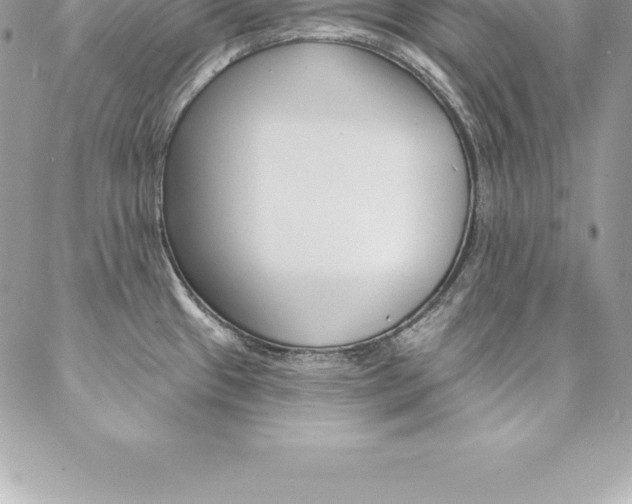 X0000087381433200704200831