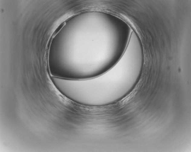 X0000087381434200704200832