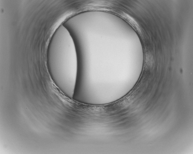 X0000087381435200704200832