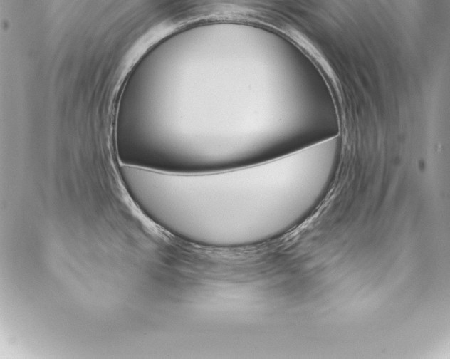 X0000087381437200704200832