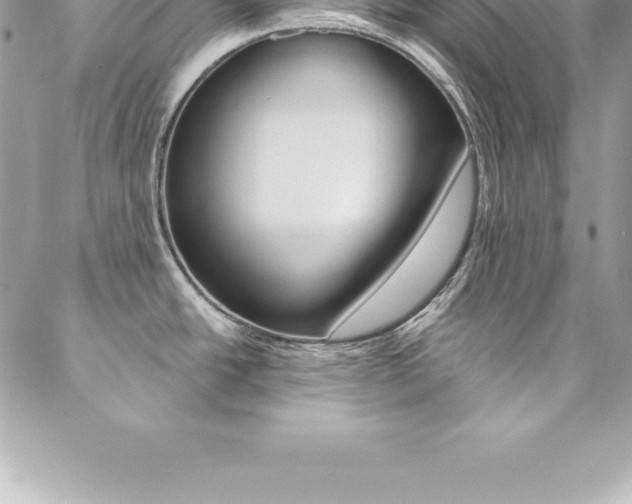 X0000087381438200704200832