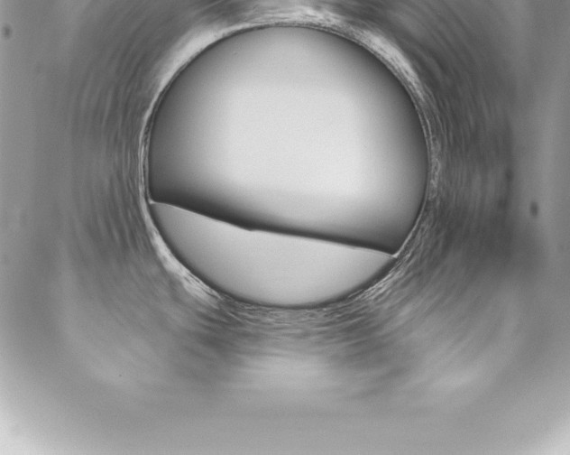 X0000087381439200704200832