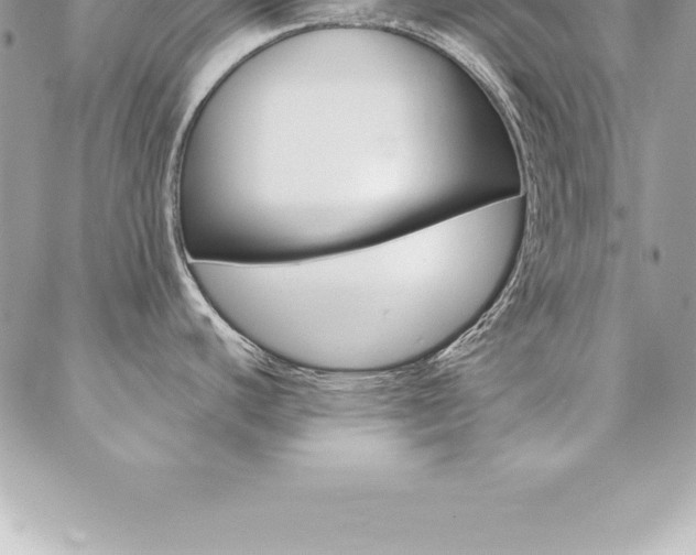 X0000087381440200704200832